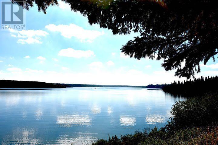31, 25054 South Pine Lake Road Property Photo 10