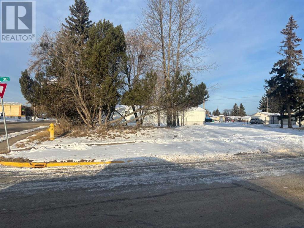 4504 55 Avenue Property Photo 5