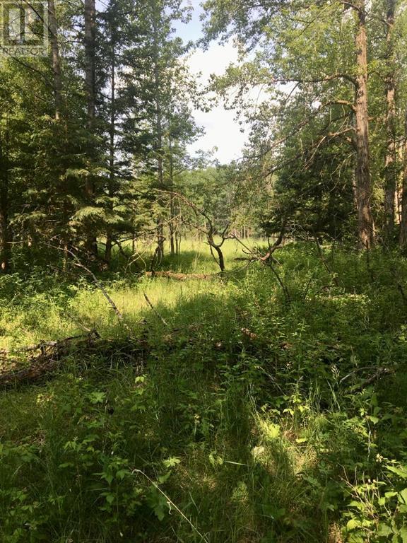 On Highway 771 Property Photo 8