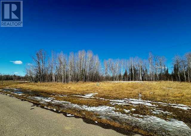 2431 Mistassiniy Road Property Photo 2