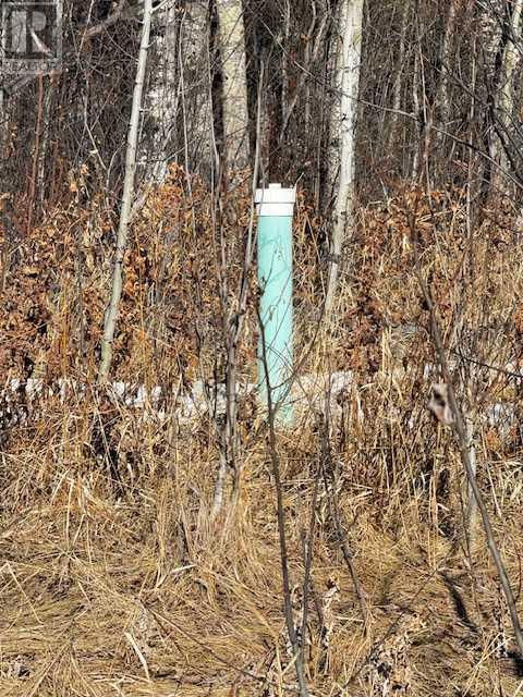 2431 Mistassiniy Road Property Photo 8