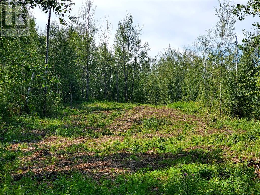 130, 67458 McGrane road Property Photo 1