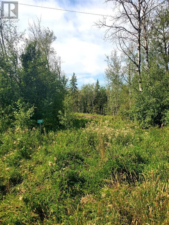 130, 67458 Mcgrane Road Property Photo 2