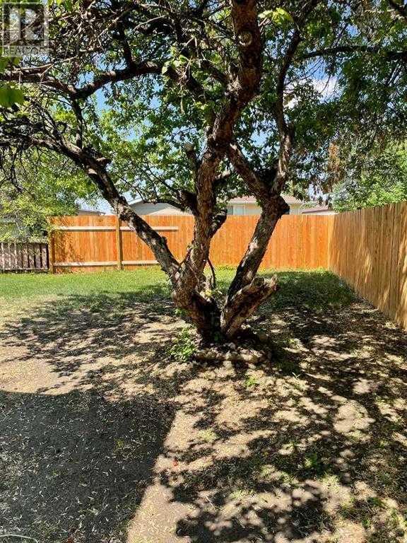 4942 43 Street Property Photo 34