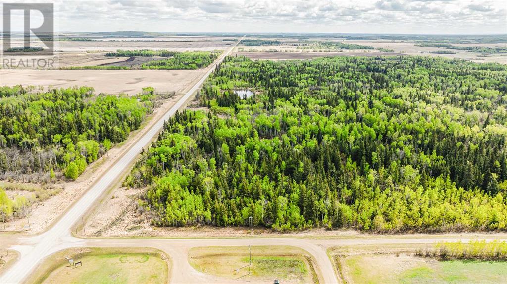 Nw-19-81-9-w6 Highway 681 Property Photo 8
