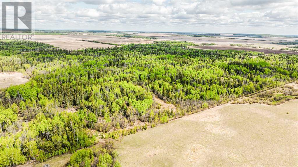 Nw-19-81-9-w6 Highway 681 Property Photo 16