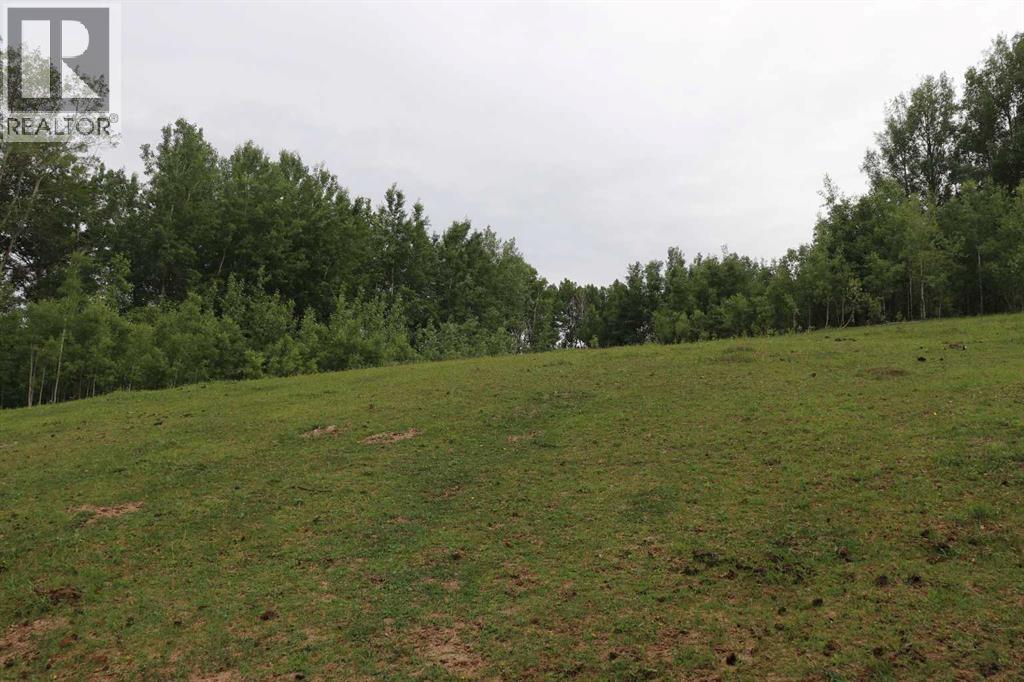 53508 Range Road 102a Property Photo 9
