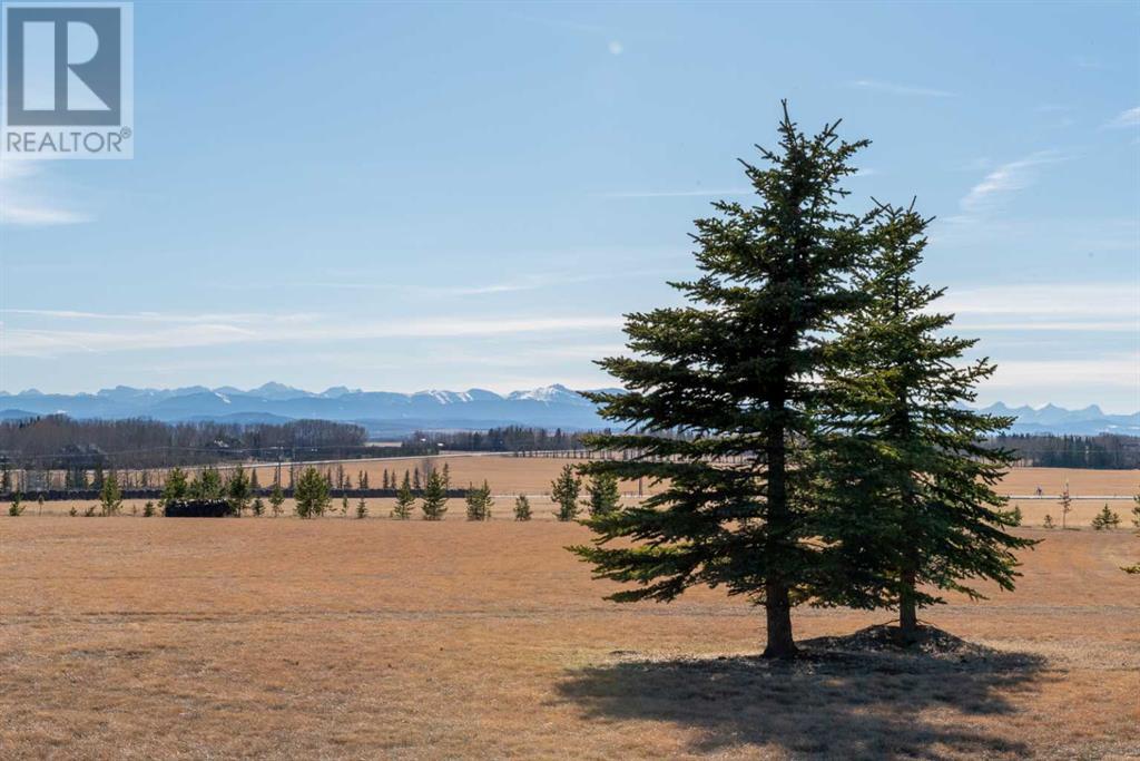 11.29 Acres Huggard Road Property Photo 16