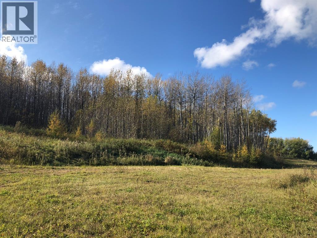 16326 Twp Rd 675 Property Photo 1