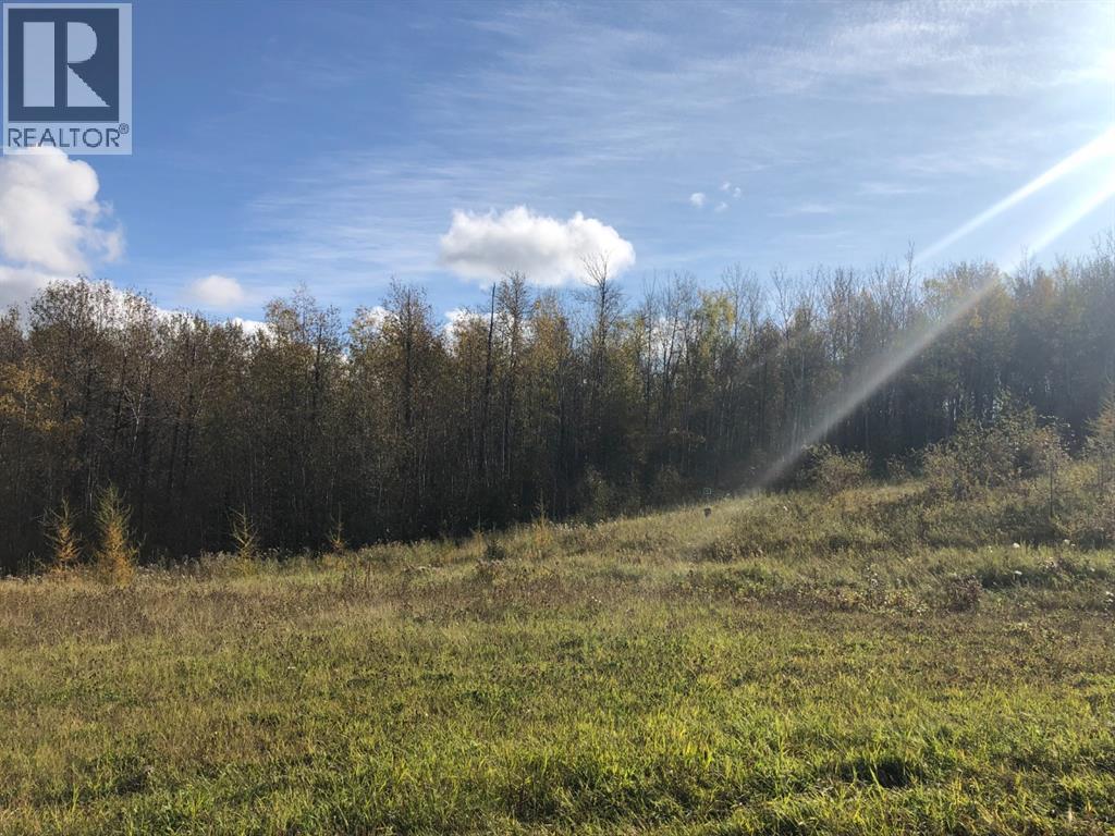 16326 Twp Rd 675 Property Photo 3