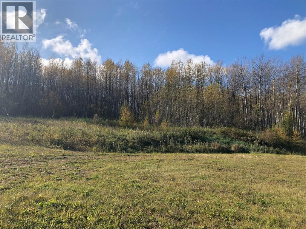 16326 Twp Rd 675 Property Photo 5