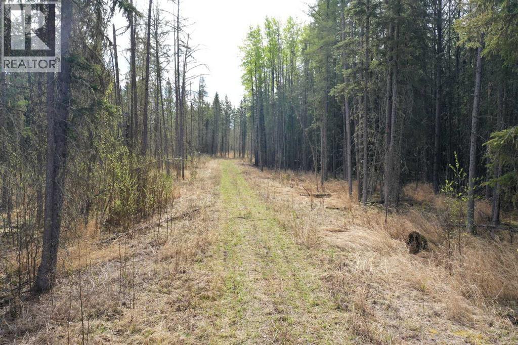 694041 Hwy 63 Property Photo 16