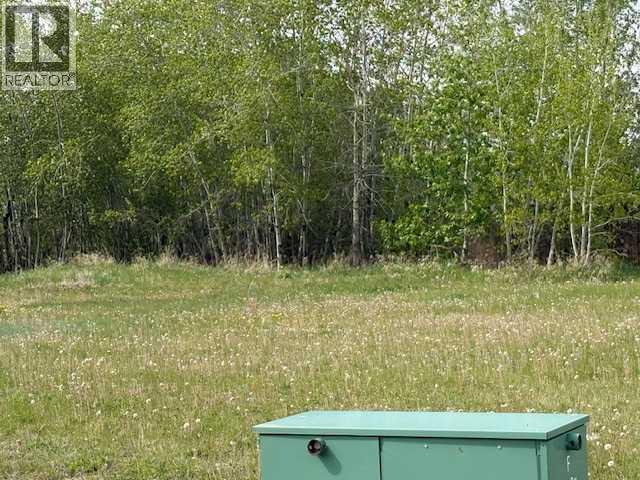 5028 45 Street Property Photo 1