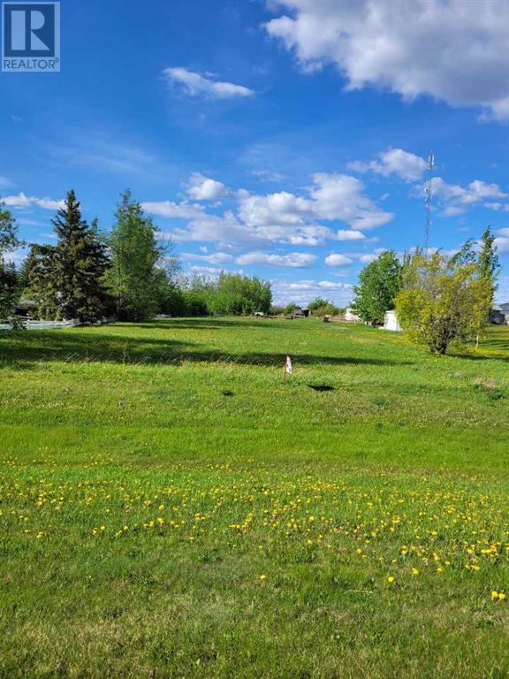 10302 100 Avenue Property Photo 1