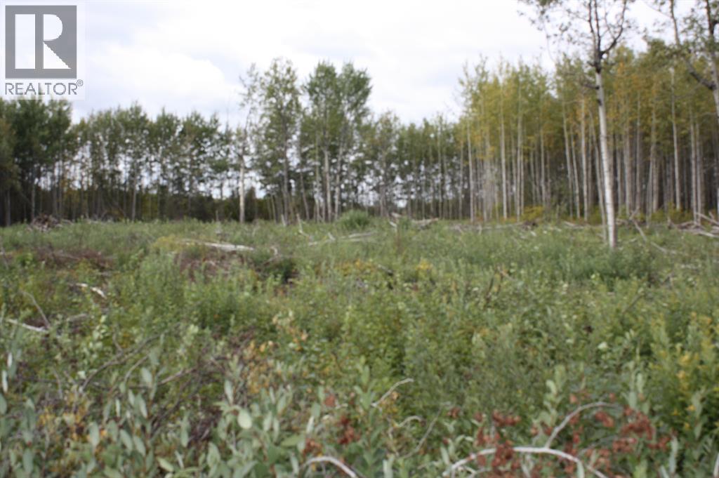 110 67324 Mission Road Property Photo 4