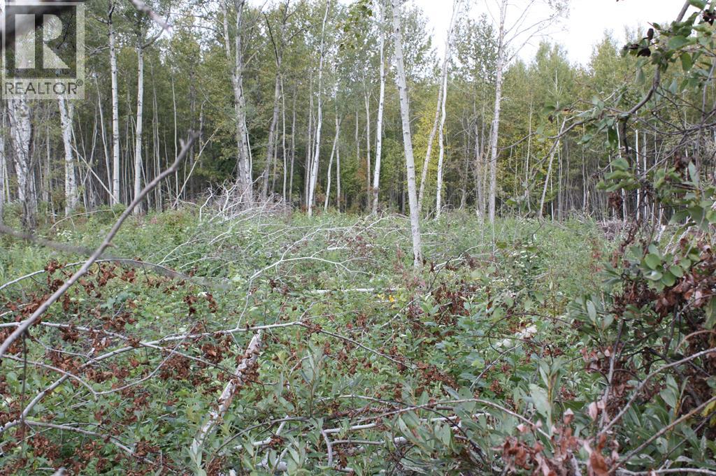 110 67324 Mission Road Property Photo 6