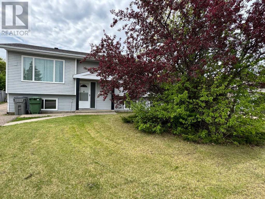 4527 33 Street Property Photo 1