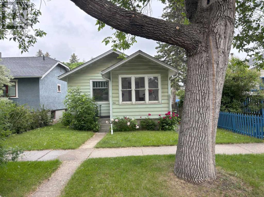 234 8 Avenue Ne Property Photo 1