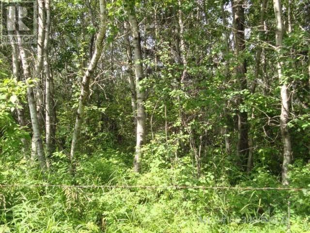 Parcel D Marie Hanson Rd Property Photo 1