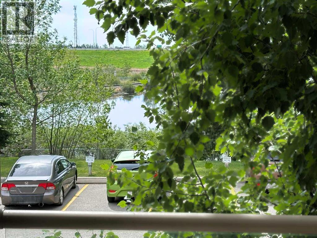 4218, 4000 Somervale Court Sw Property Photo 17