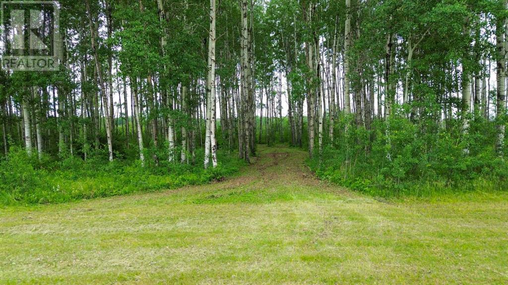 42 Prosser Drive Property Photo 23