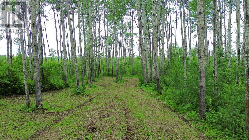 42 Prosser Drive Property Photo 24