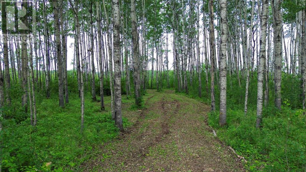 42 Prosser Drive Property Photo 25