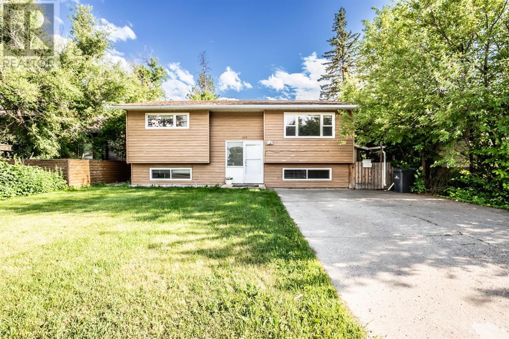 229 3 Avenue Se Property Photo 1