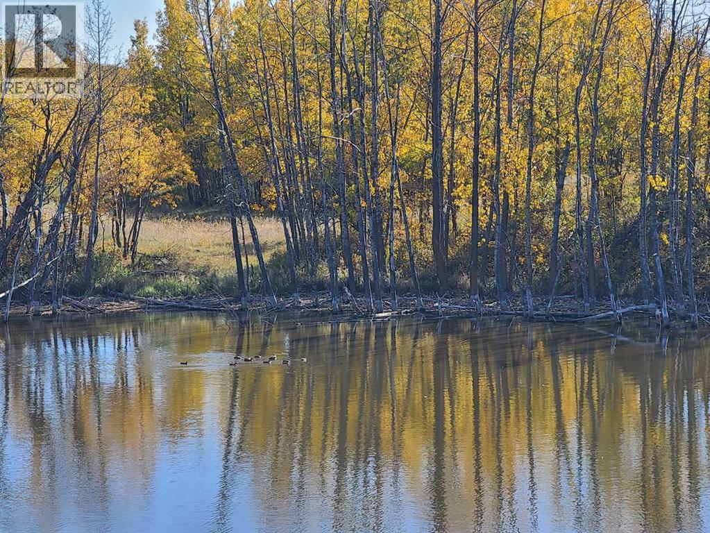 Hi Way 590 Property Photo 27