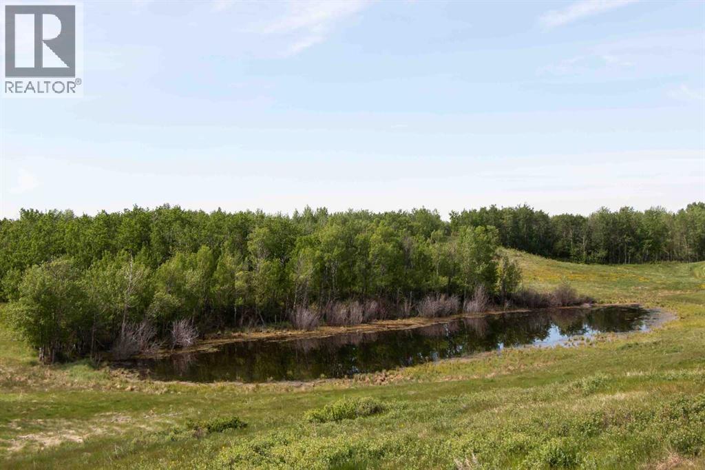 Hi Way 590 Property Photo 29