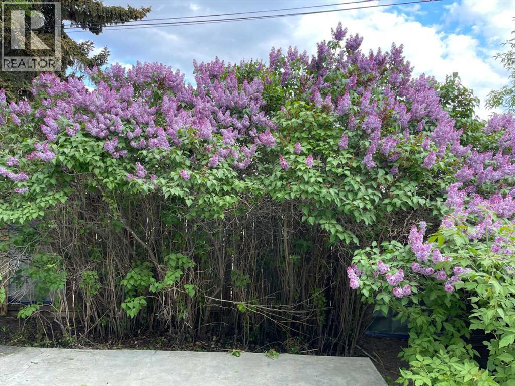 39 34 Avenue Property Photo 33