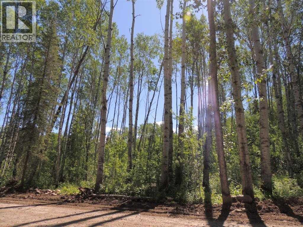Lot #36 Wapiti River SW-21-69-10-W6 Property Photo 1