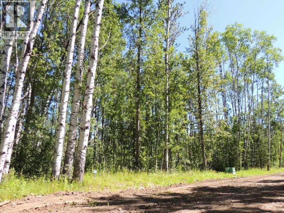 Lot #20 Wapiti River SW-21-69-10-W6 Property Photo 1