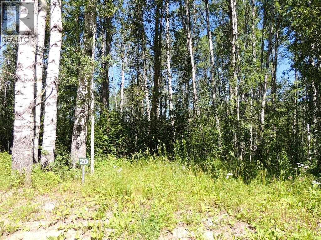 Lot #20 Wapiti River Sw-21-69-10-w6 Property Photo 2