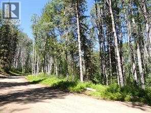 Lot #20 Wapiti River Sw-21-69-10-w6 Property Photo 3