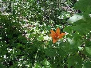 Lot #20 Wapiti River Sw-21-69-10-w6 Property Photo 12