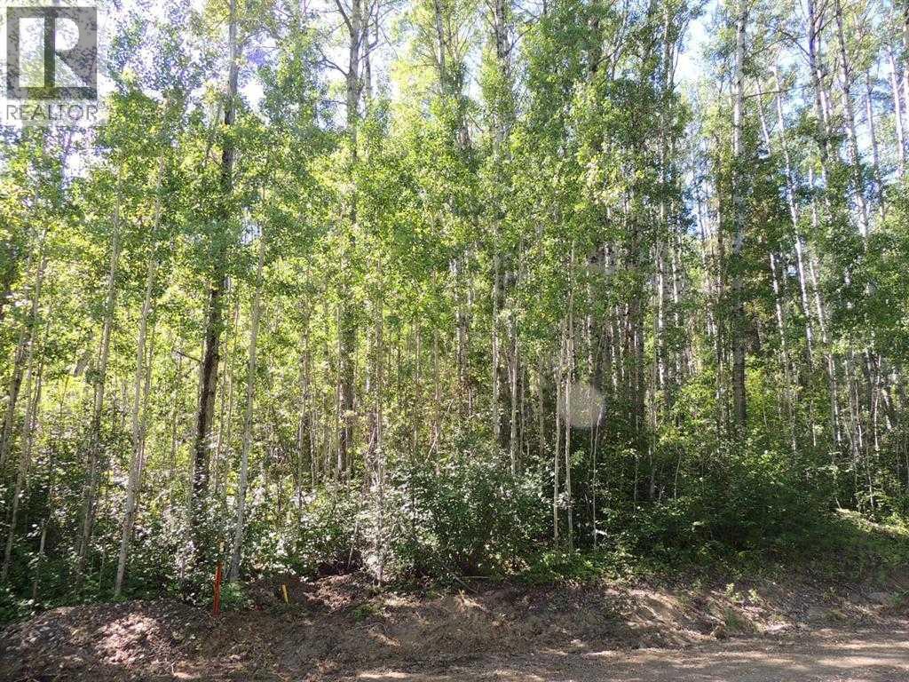 Lot #11 Wapiti River SW-21-69-10-W6 Property Photo 1