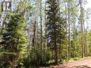 Lot #10 Wapiti River Sw-21-69-10-w6 Property Photo 1