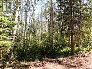 Lot #10 Wapiti River Sw-21-69-10-w6 Property Photo 2