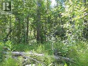 Lot #10 Wapiti River Sw-21-69-10-w6 Property Photo 9