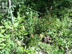 Lot #10 Wapiti River Sw-21-69-10-w6 Property Photo 10