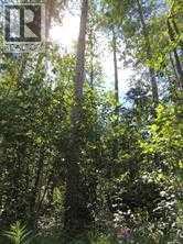 Lot #10 Wapiti River Sw-21-69-10-w6 Property Photo 11