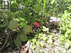 Lot #10 Wapiti River Sw-21-69-10-w6 Property Photo 13