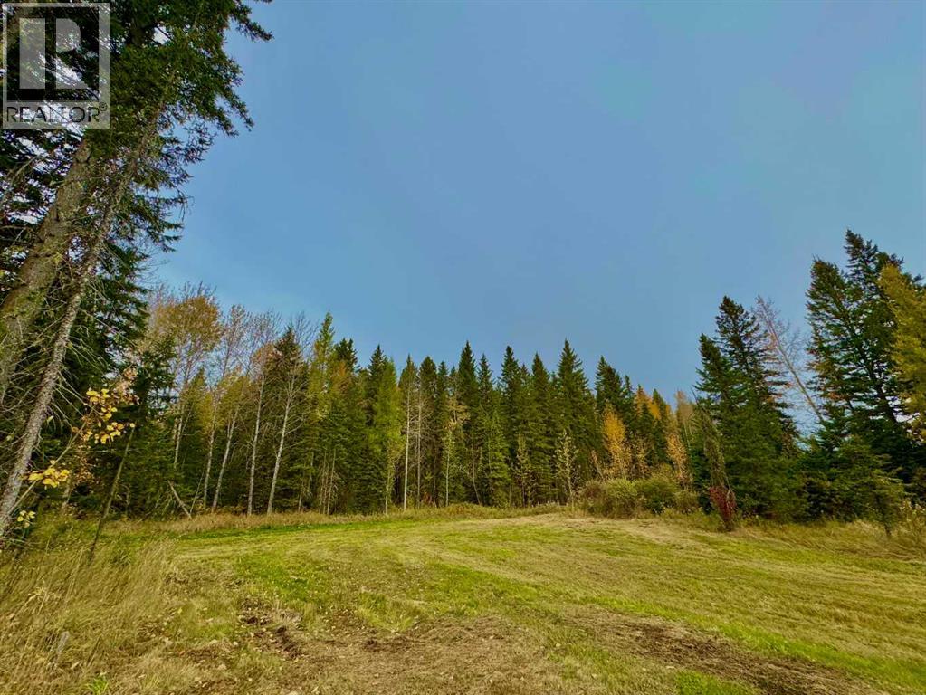 157 Meadow Ponds Drive Property Photo 3