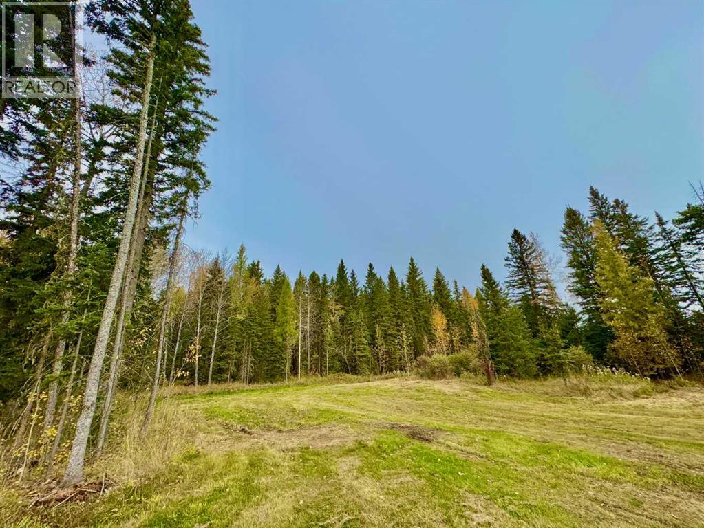 157 Meadow Ponds Drive Property Photo 4