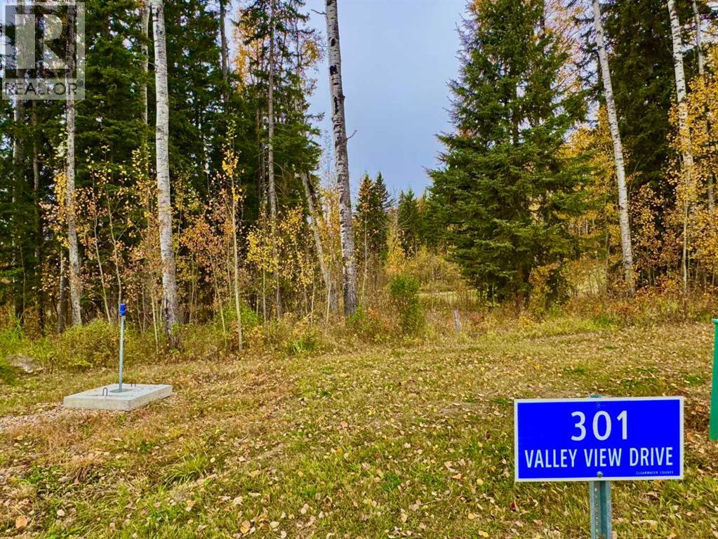 301 Valley View Drive Property Photo 8
