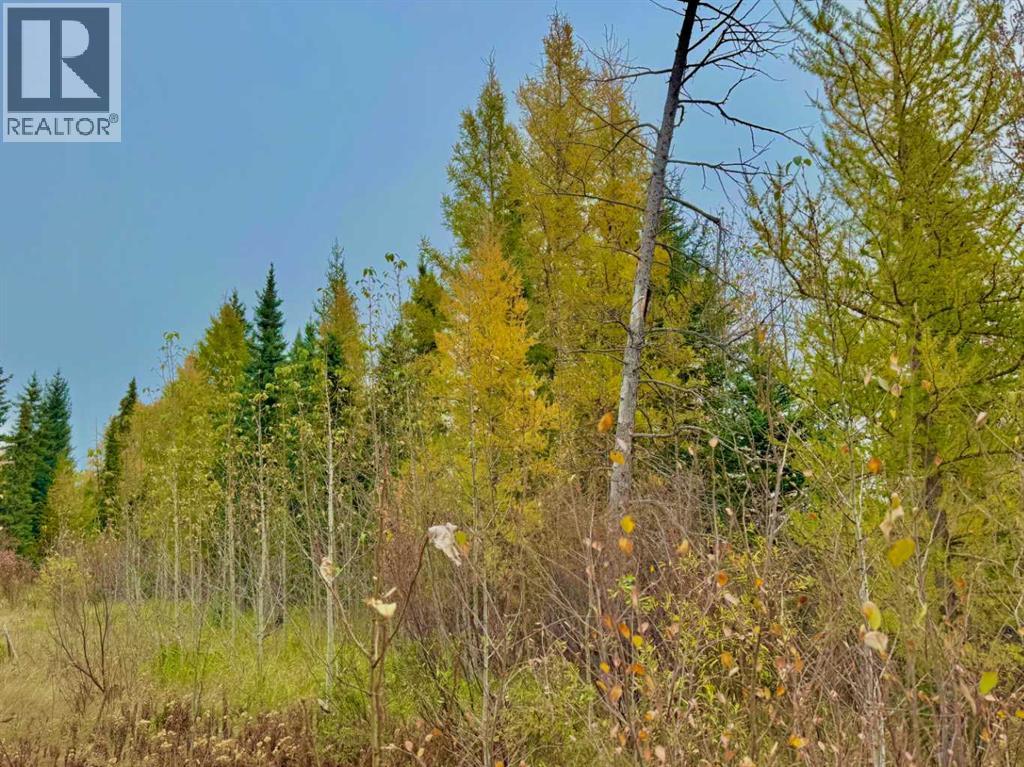 416 Valley View Close Property Photo 5