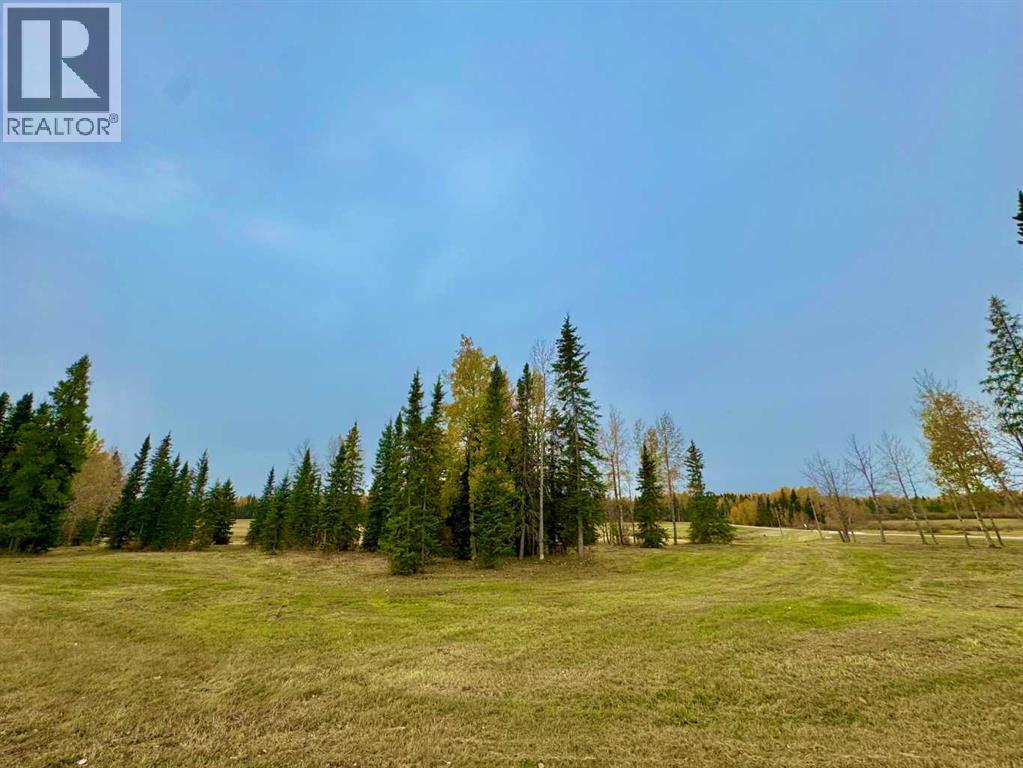 401 Valley View Close Property Photo 11