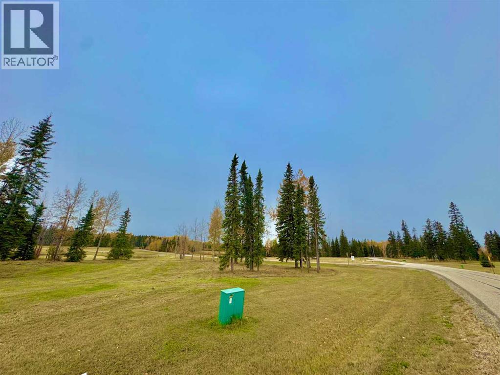 401 Valley View Close Property Photo 13