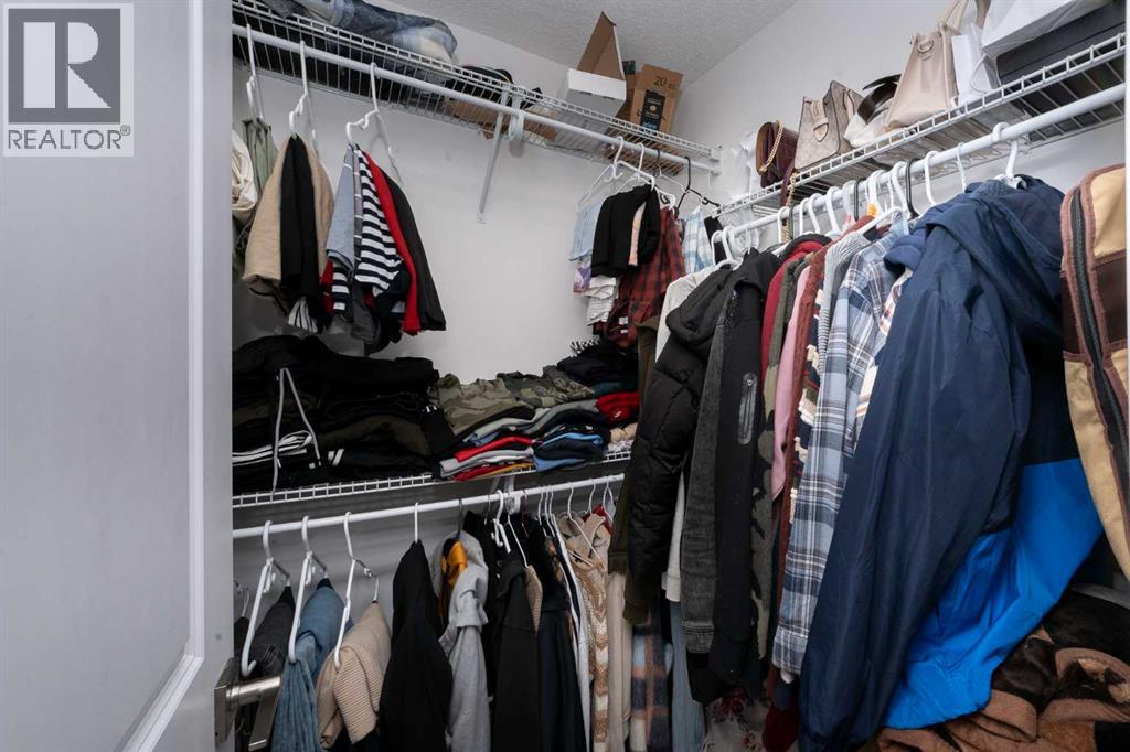 64 Belvedere Park Property Photo 22